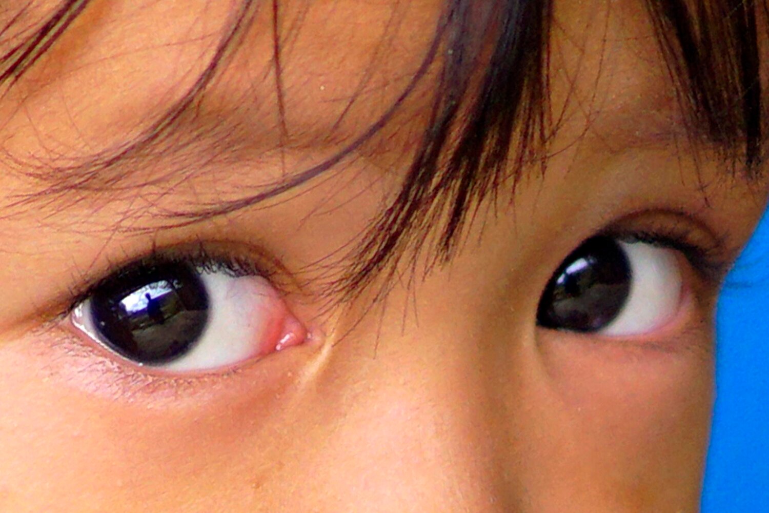 Close up portrait boy 75127 66